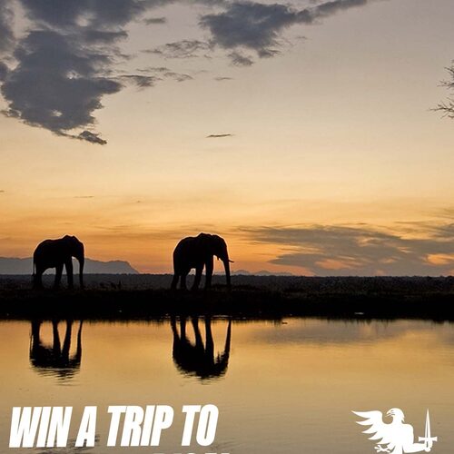 It could be you! 

Reminder to enter our FREE competition to win a nine-night trip to South Africa! Including all hotels, transfers, flights, a two-day safari drive and of course, tickets to see @irishrugby take on South Africa in both tests! 

Link in our bio! 

#connachtrugby
